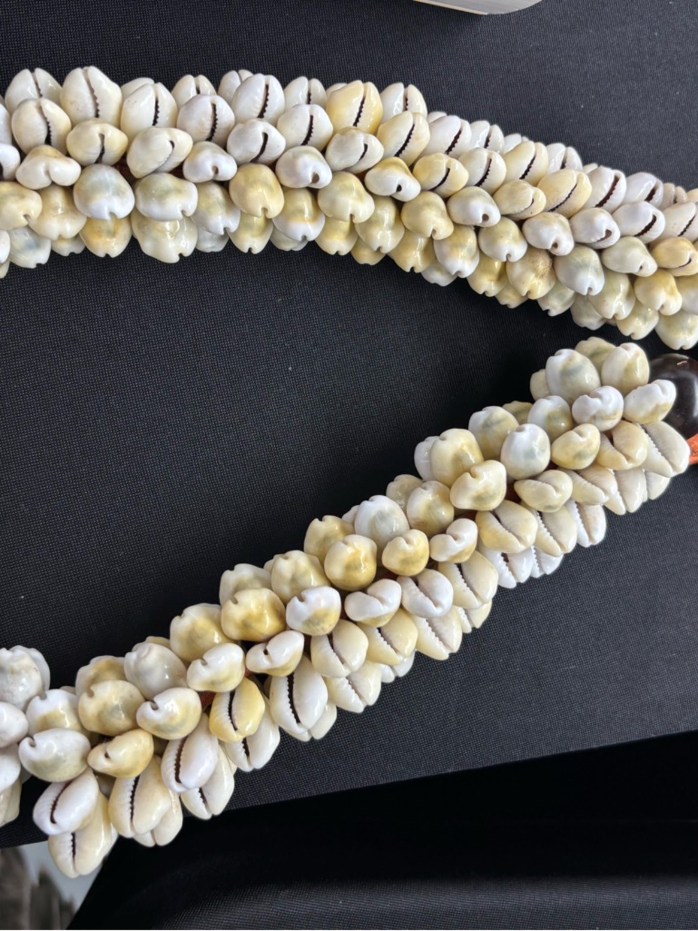 Cowrie Shell Multi-Strand Necklace in Cream and White